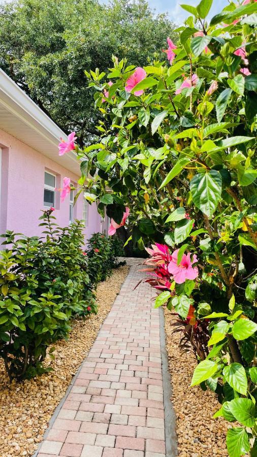 הוילה קייפ קנוורל Casa Flamingo מראה חיצוני תמונה